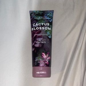 Brand new cactus blossom Bath&BodyWorks body lotion/cream